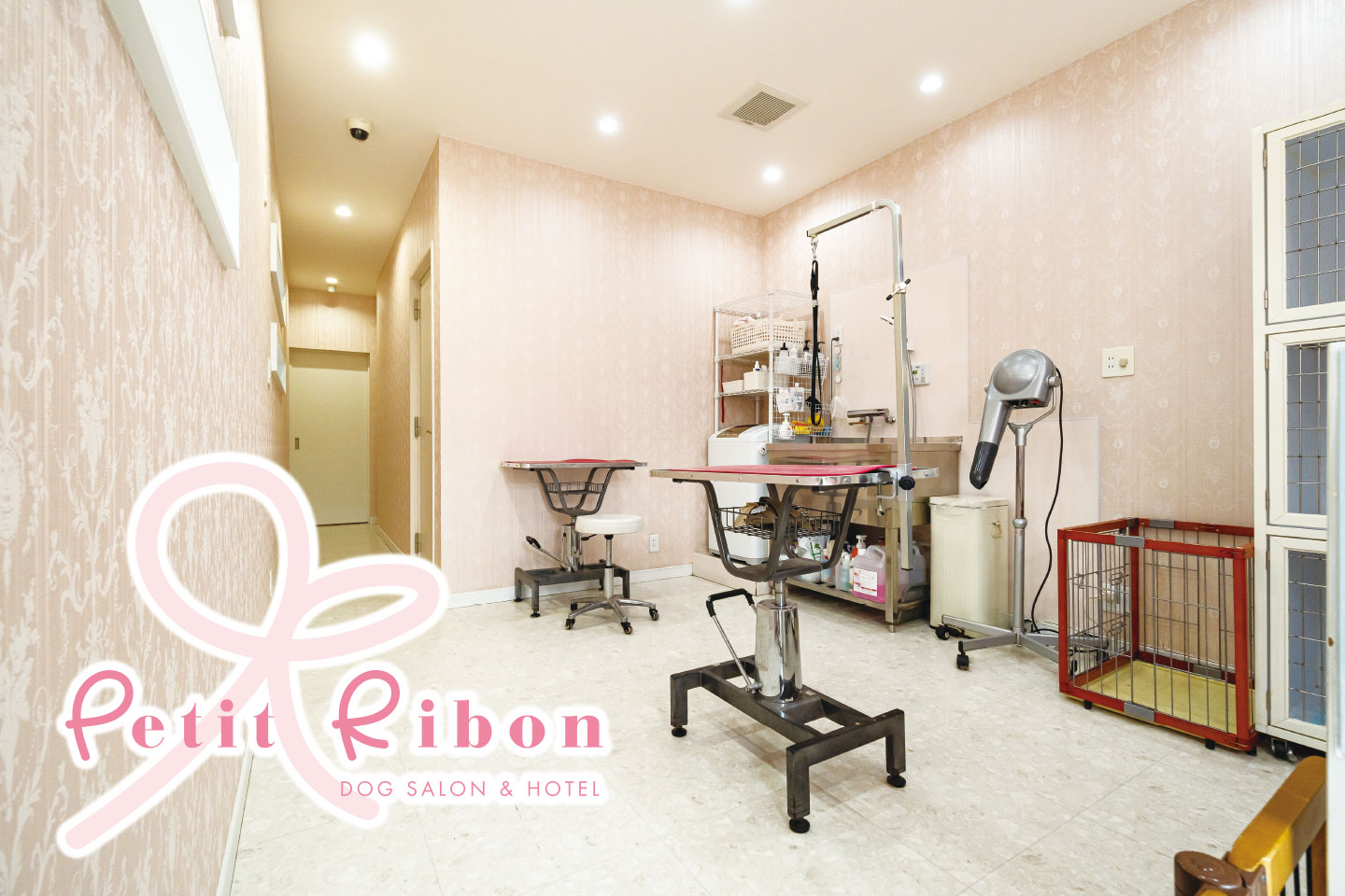 奈良県大和高田市のペット美容室 トリミングサロンPetit Ribon（プティ リボン）
